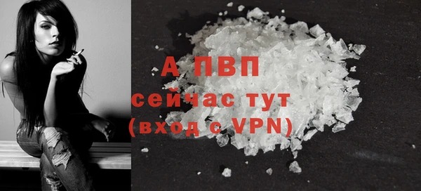 стаф Богданович