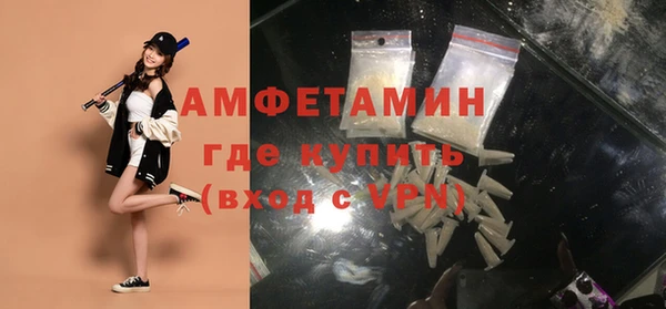 стаф Богданович
