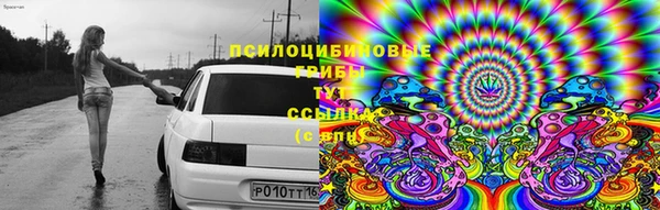 спайс Богородицк