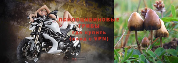 прущая мука Беломорск